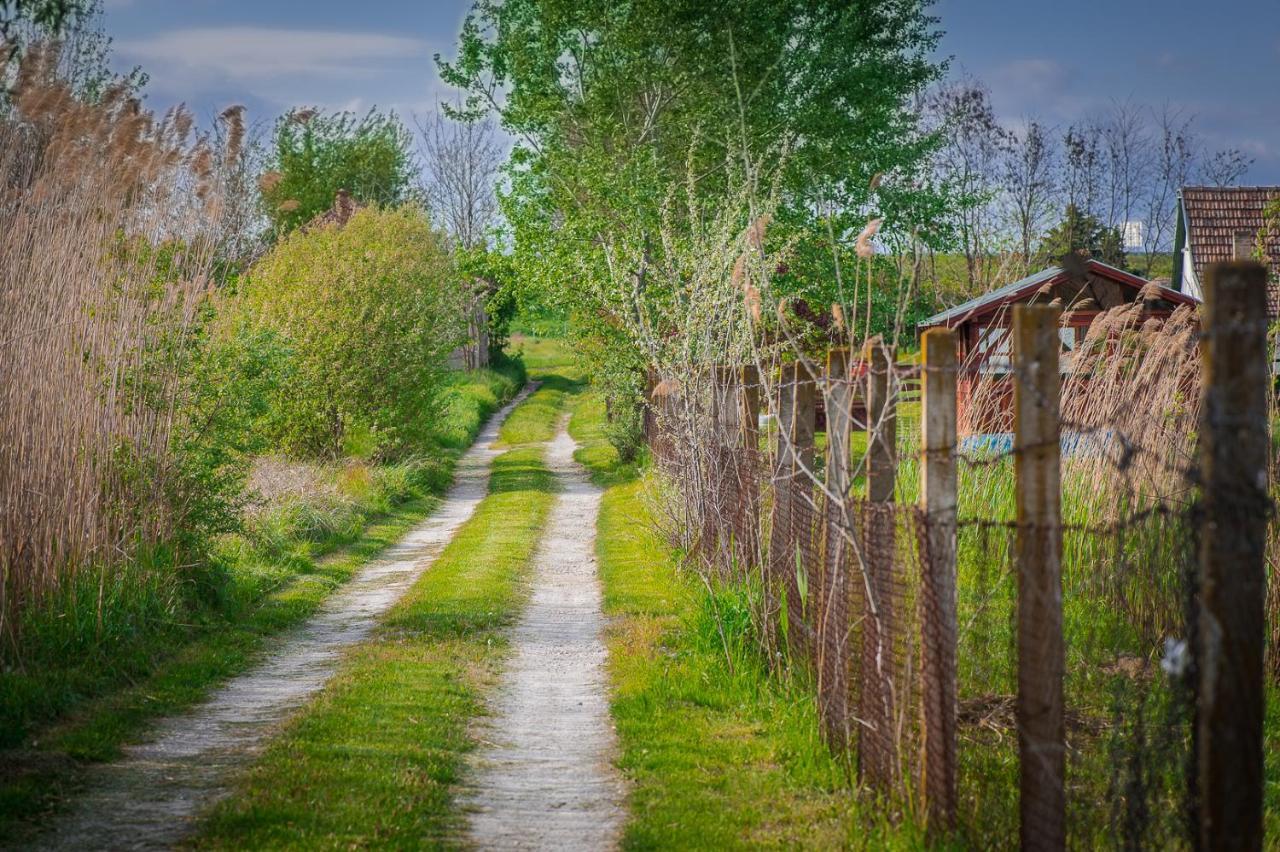 Вилла Etno Salas - Etno Ranch - Seosko Turisticko Domacinstvo Палич Экстерьер фото