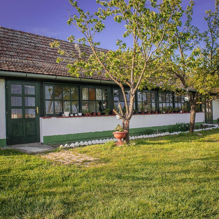 Вилла Etno Salas - Etno Ranch - Seosko Turisticko Domacinstvo Палич Экстерьер фото