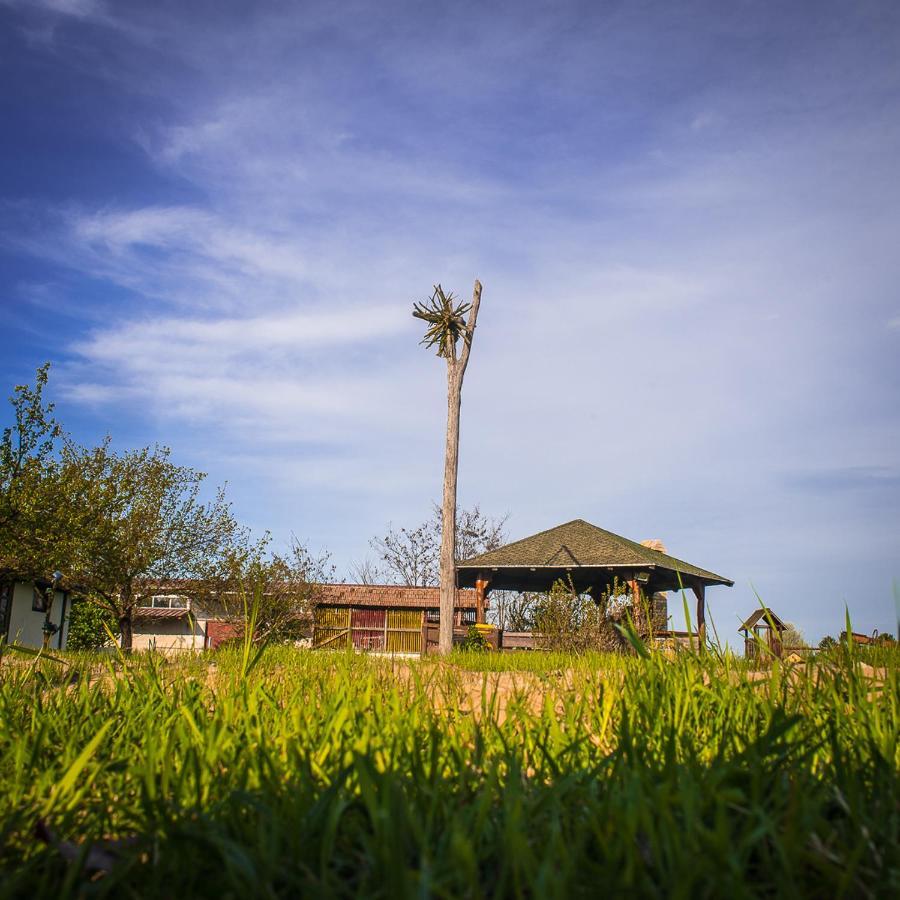 Вилла Etno Salas - Etno Ranch - Seosko Turisticko Domacinstvo Палич Экстерьер фото