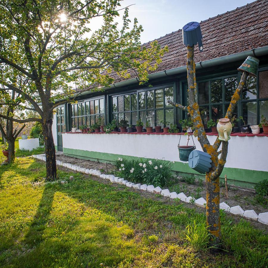 Вилла Etno Salas - Etno Ranch - Seosko Turisticko Domacinstvo Палич Экстерьер фото