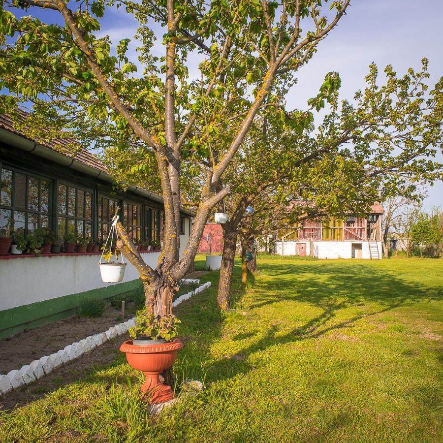 Вилла Etno Salas - Etno Ranch - Seosko Turisticko Domacinstvo Палич Экстерьер фото