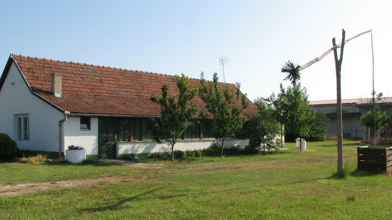 Вилла Etno Salas - Etno Ranch - Seosko Turisticko Domacinstvo Палич Экстерьер фото