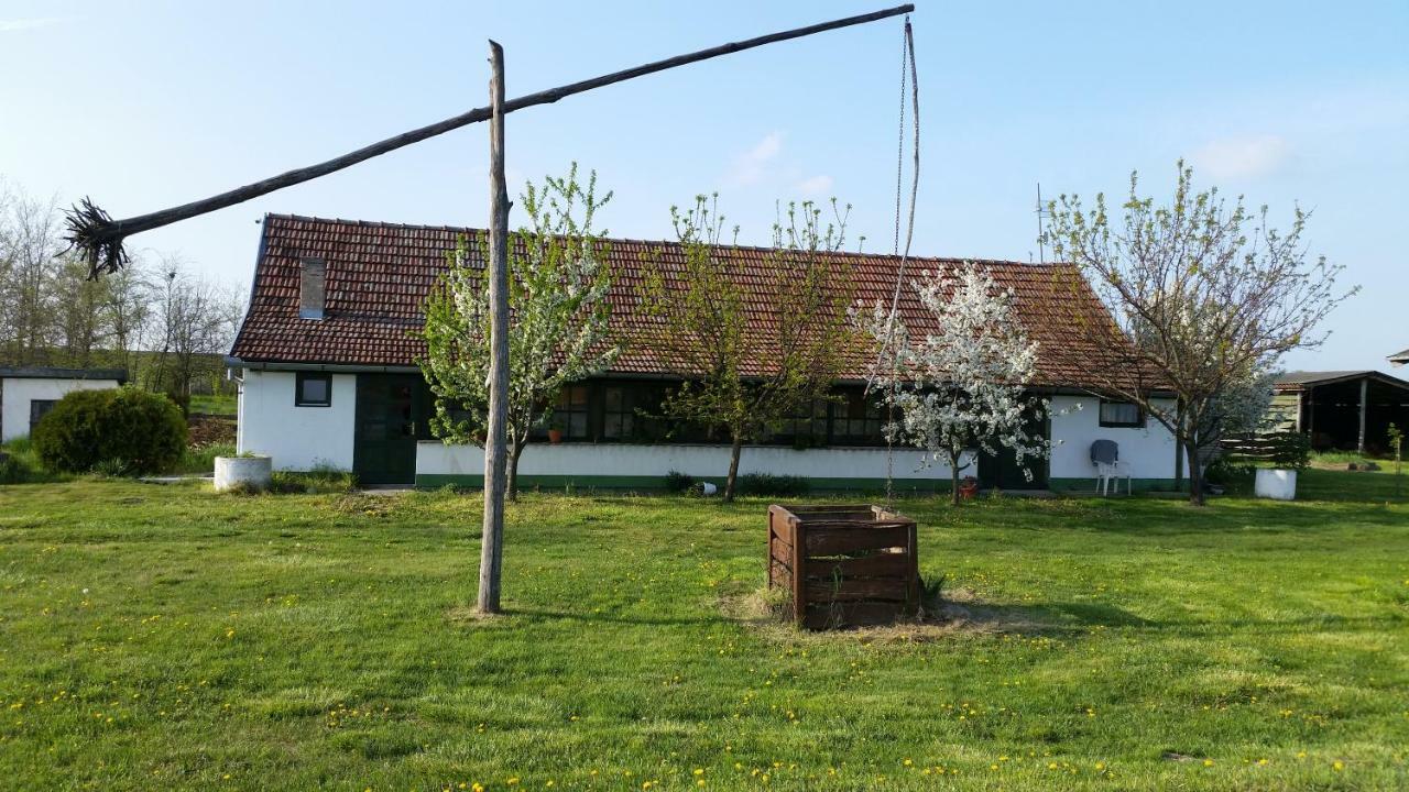 Вилла Etno Salas - Etno Ranch - Seosko Turisticko Domacinstvo Палич Экстерьер фото